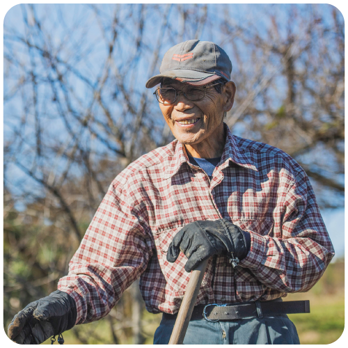 高崎ドレッシング しょうがと大根